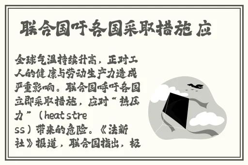 野草集视频免费观看在线